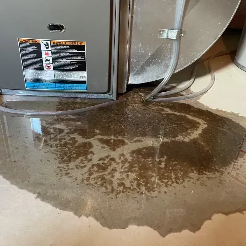 Appliance Leak Cleanup in Ajo, AZ